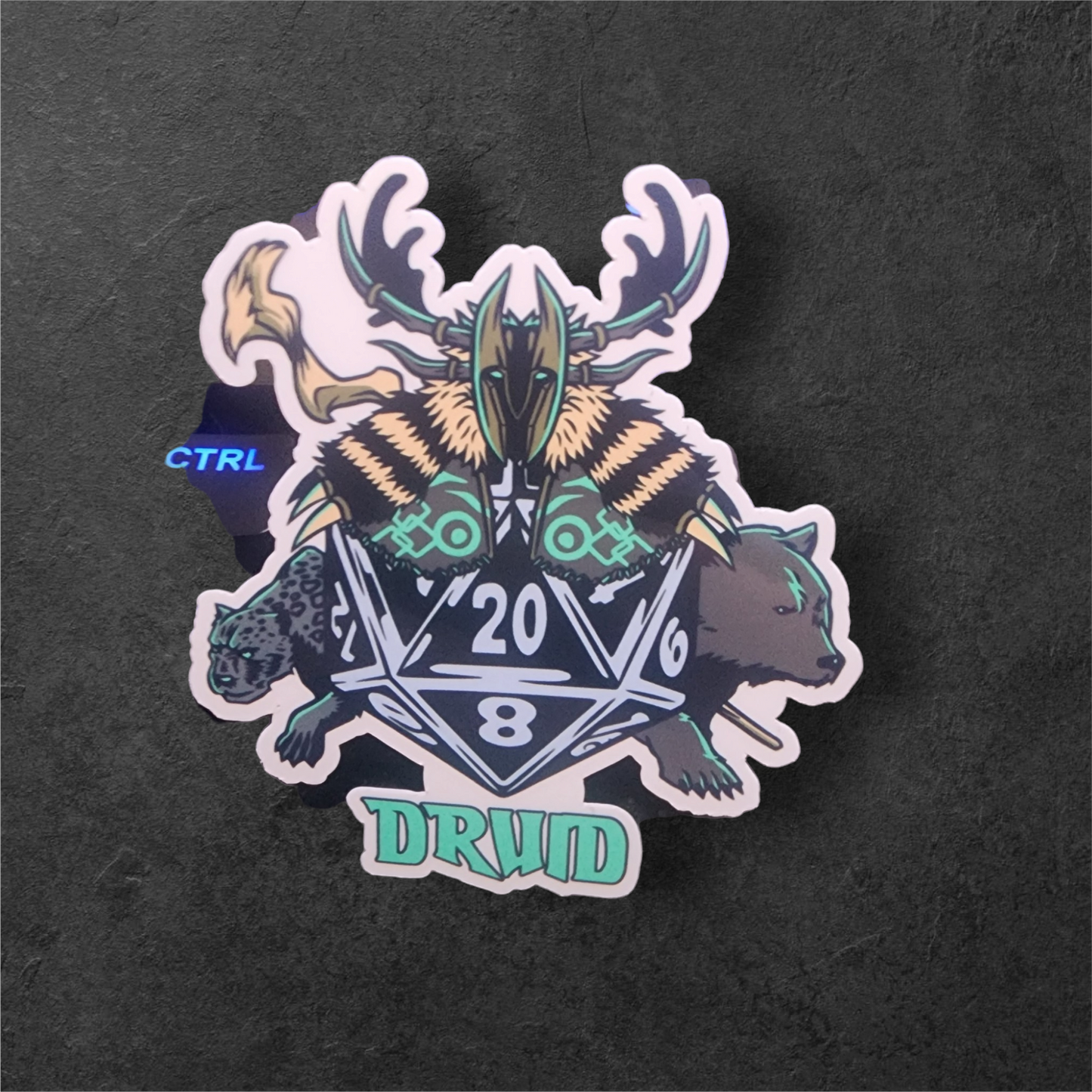 Dnd Class D20s