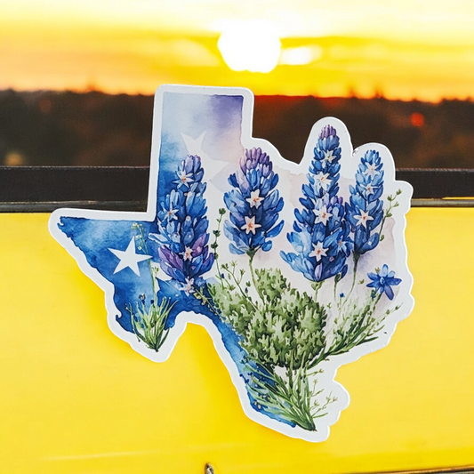 Texas Bluebonnets