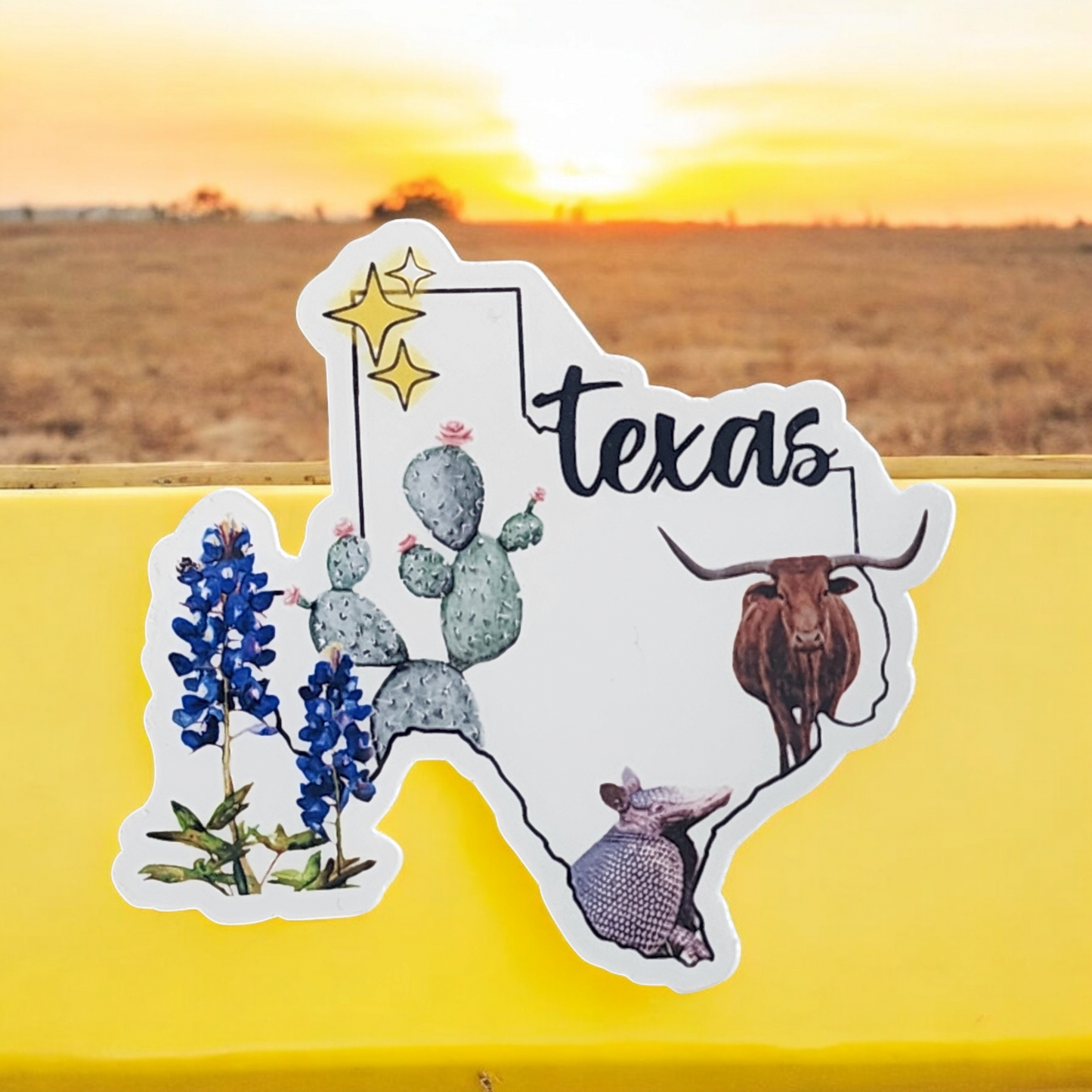 Texas Icons